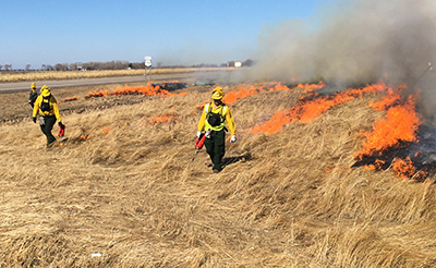 Photo: Prescribed fire by Nathan Johnson and his crew.